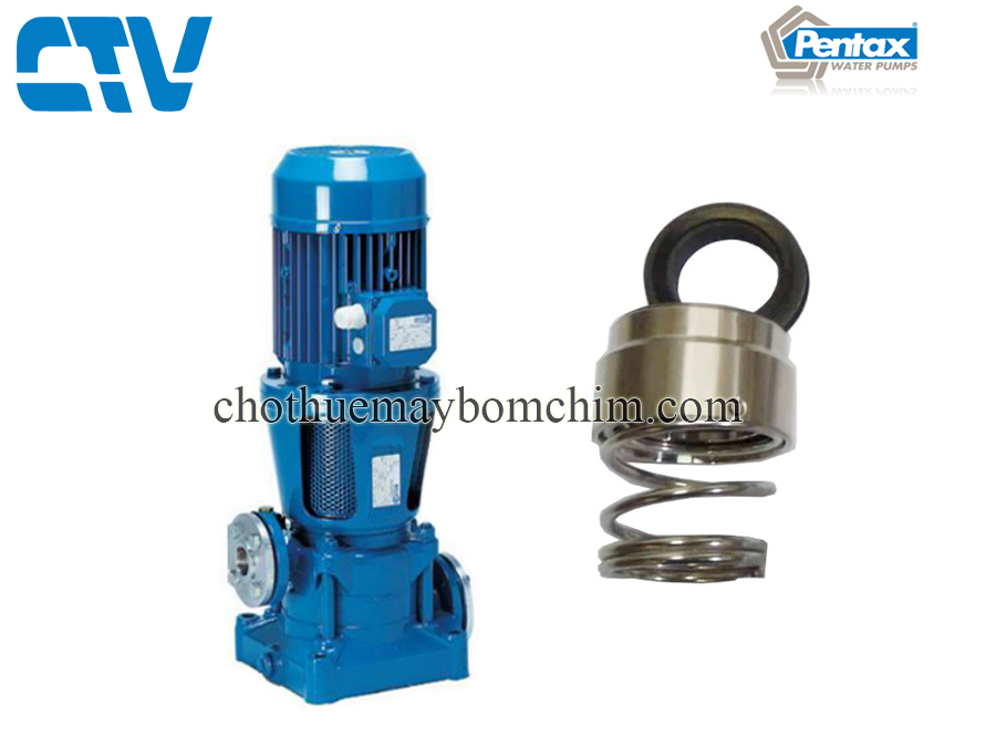 Cường Thịnh Vương sửa chữa, thay phớt máy bơm nước Pentax MSV/MSH