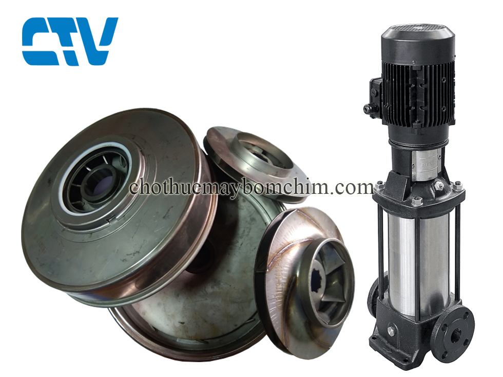Phụ kiện máy bơm - Bộ ruột bơm trục đứng Ebara EVMSG10 15F5